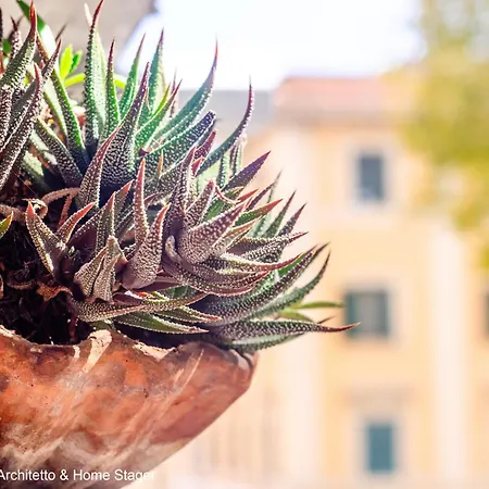 Acquedotti House Lejlighed *